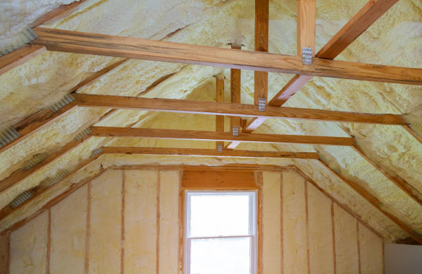 Best Residential Insulation in Camn, DE