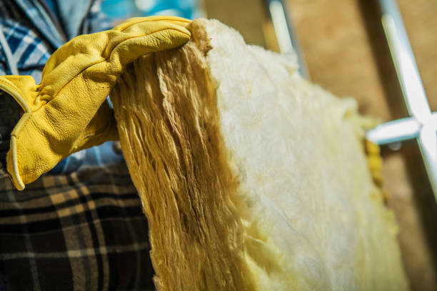 Trusted DE Insulation Contractor Experts