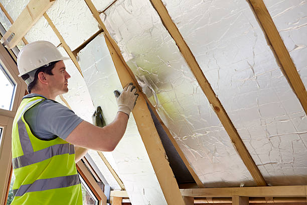 Best Insulation Maintenance and Repair in Camn, DE